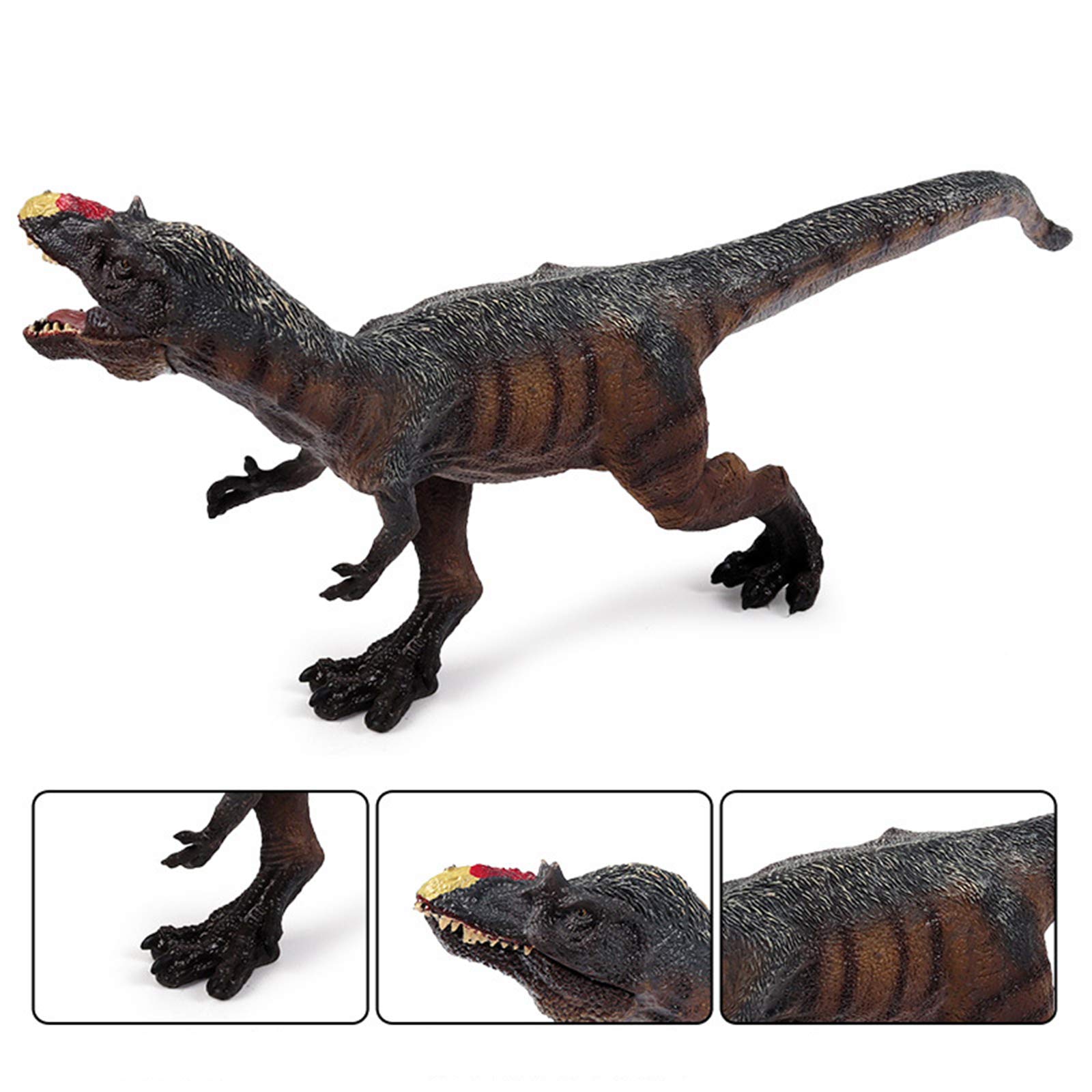 Amazon | Eden Toys ユウティラヌス 恐竜 リアル フィギュア PVC